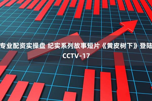 专业配资实操盘 纪实系列故事短片《黄皮树下》登陆CCTV-17