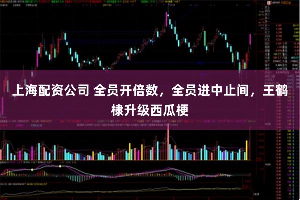 上海配资公司 全员开倍数，全员进中止间，王鹤棣升级西瓜梗